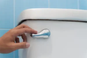 slow flushing toilet